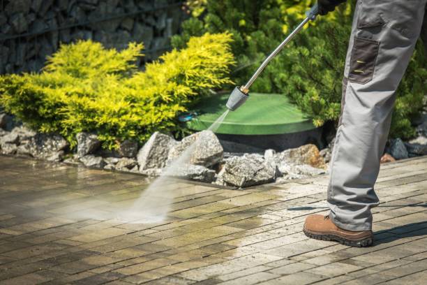 Best Solar Panel Cleaning  in Sherman, IL