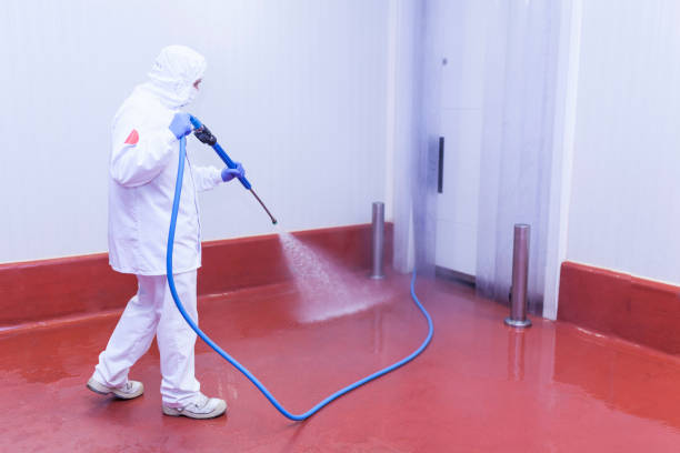 Best House Exterior Washing  in Sherman, IL